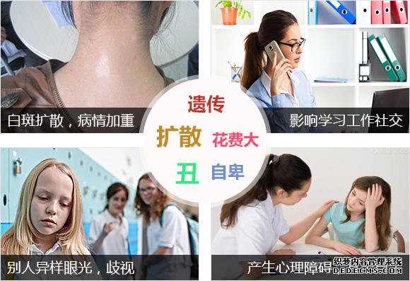 580白斑危害3.jpg